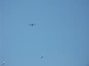 Horizon_Airmeet_2013_Set_1 180